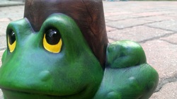 Ceramic Garden Frog Pot